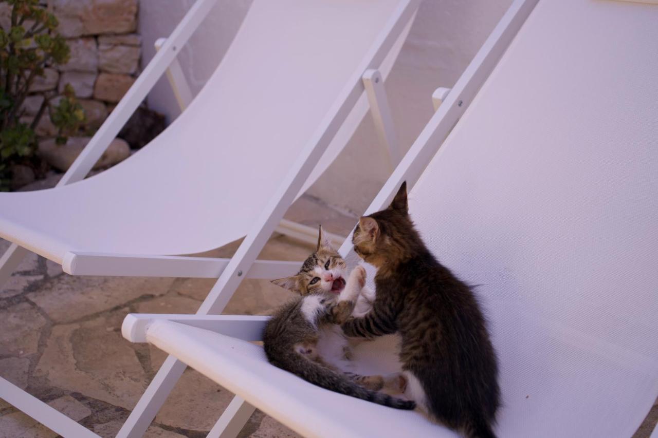 Minicasa Nella Natura, Con Piscina A Due Passi Ostuni Exterior foto